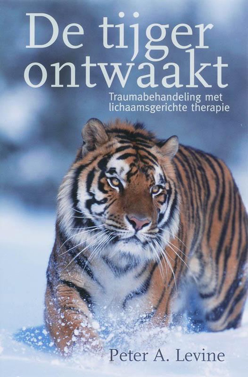 Boek cover van de tijd ontwaakt met tijger in de sneeuw. Het boek gaat over traumabehandeling met lichaamsgerichte therapie.